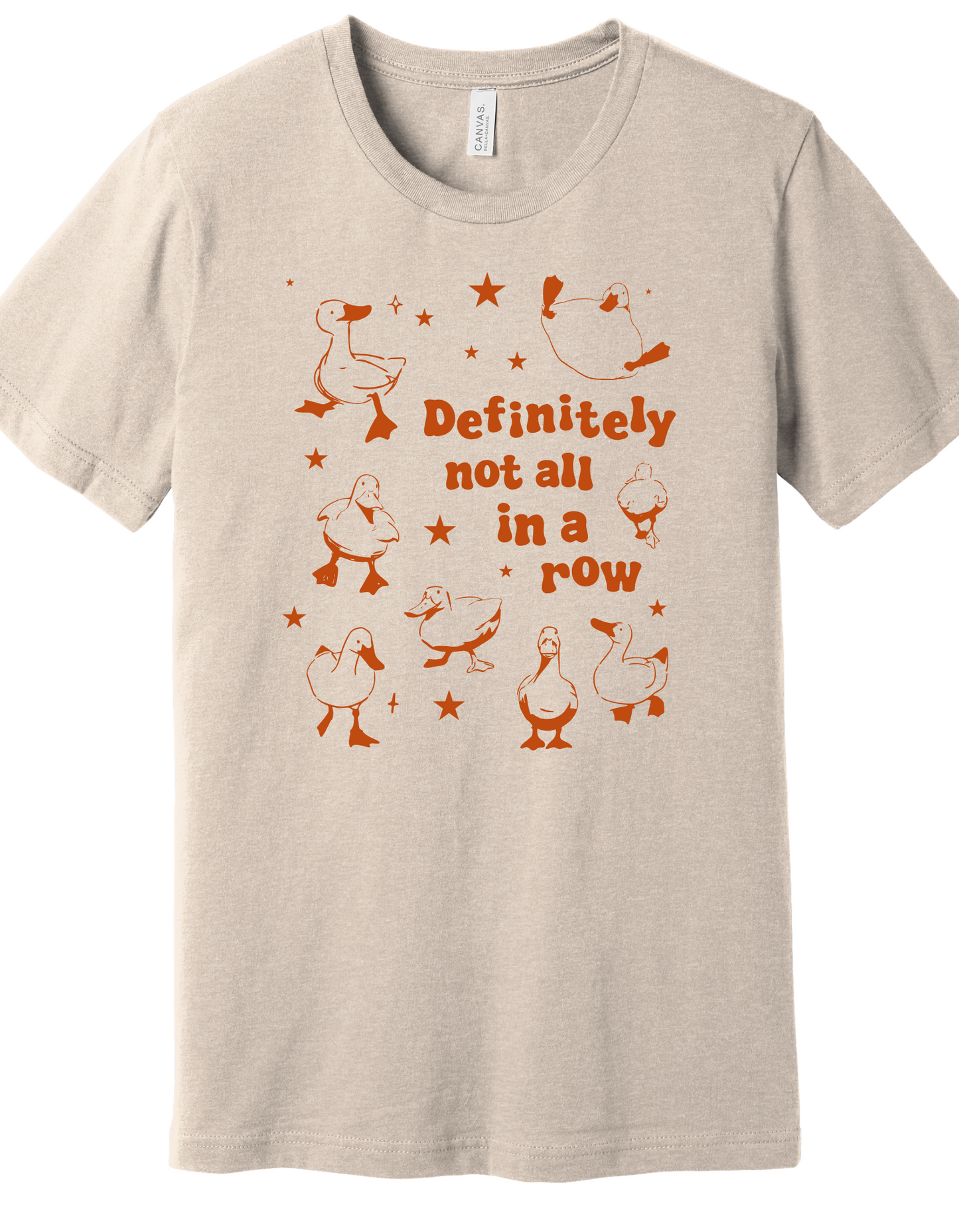 Ducks in a Row Shirt