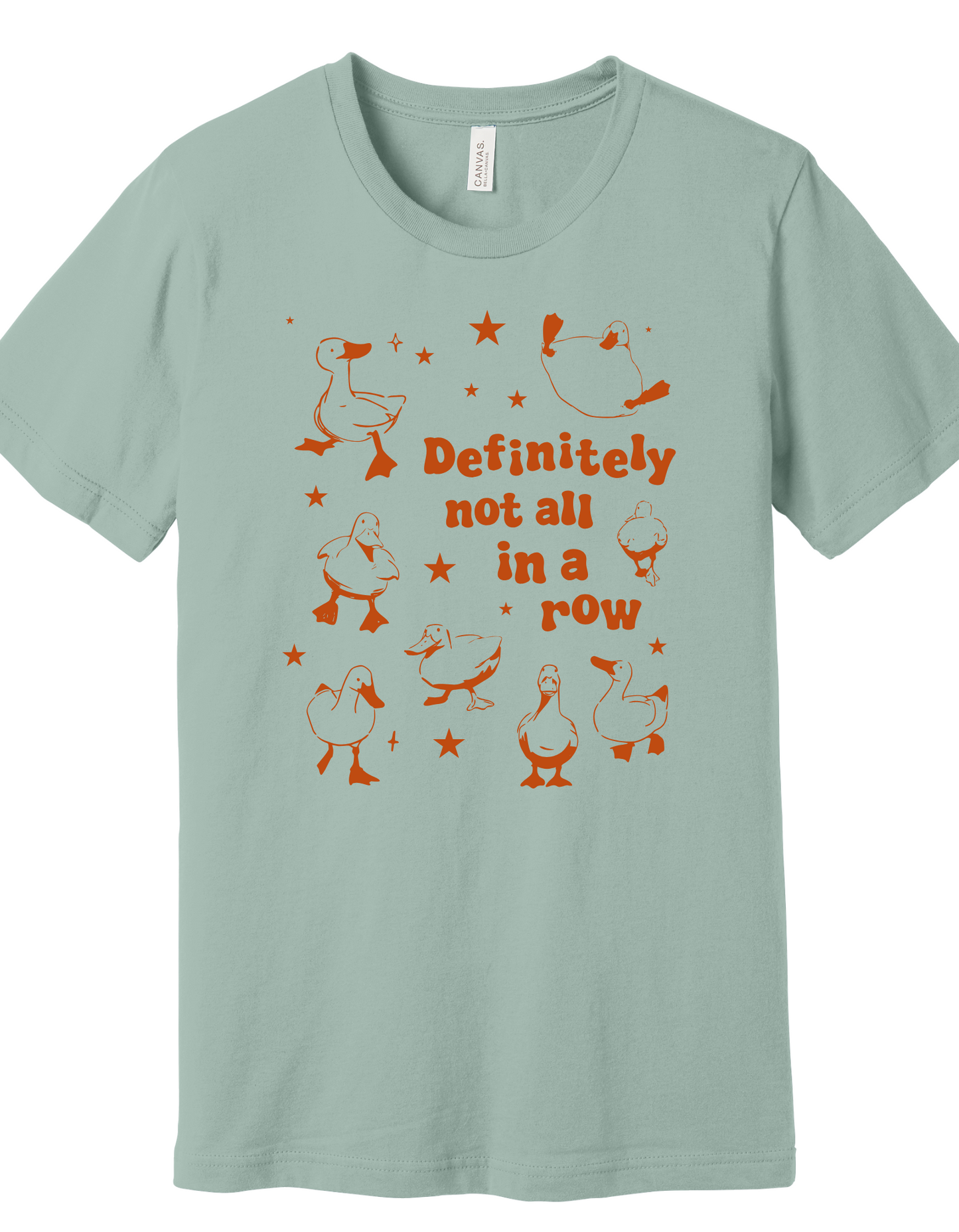 Ducks in a Row Shirt