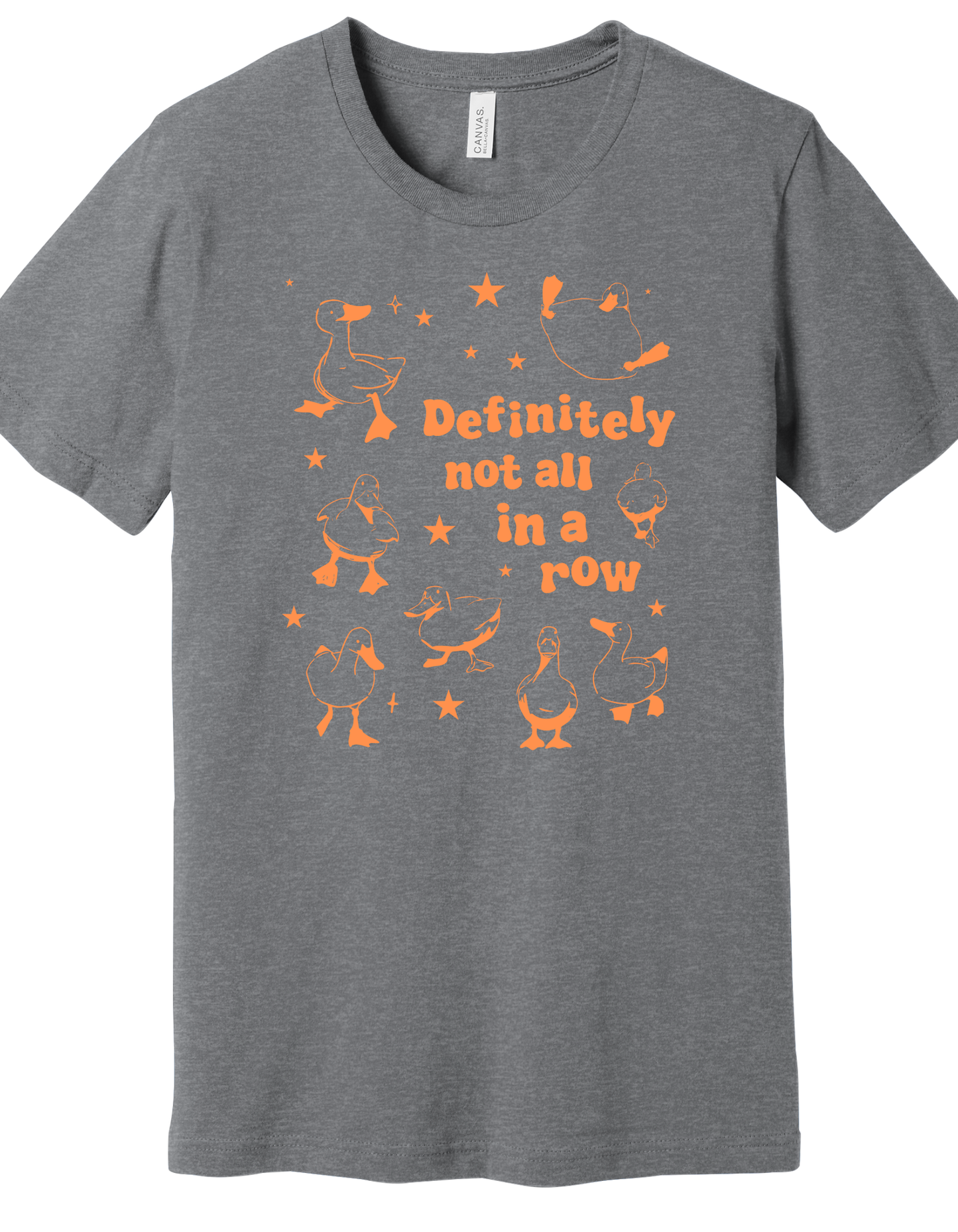 Ducks in a Row Shirt