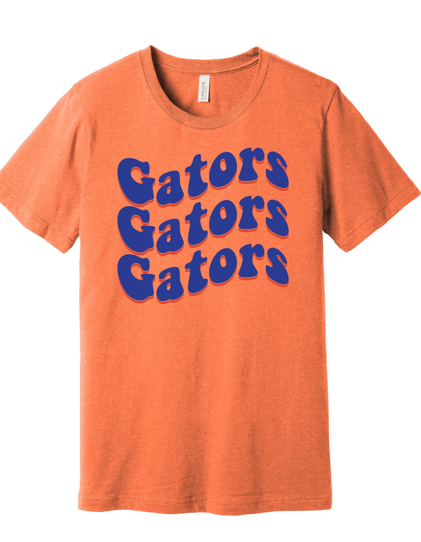 Gators in Blue Font Shirt