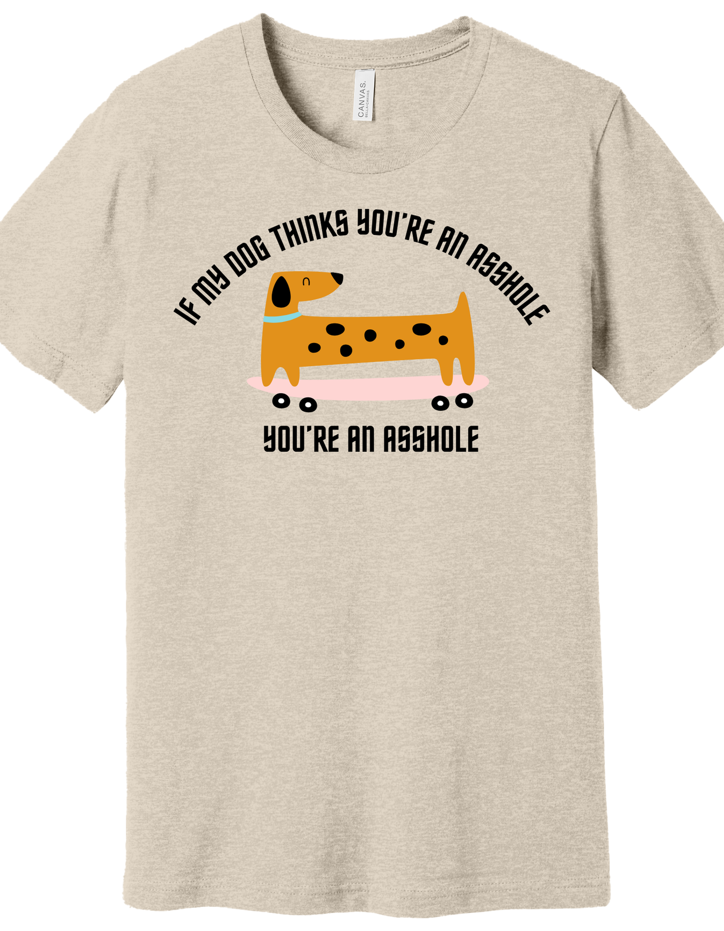 My Dog doesn't like you Shirt