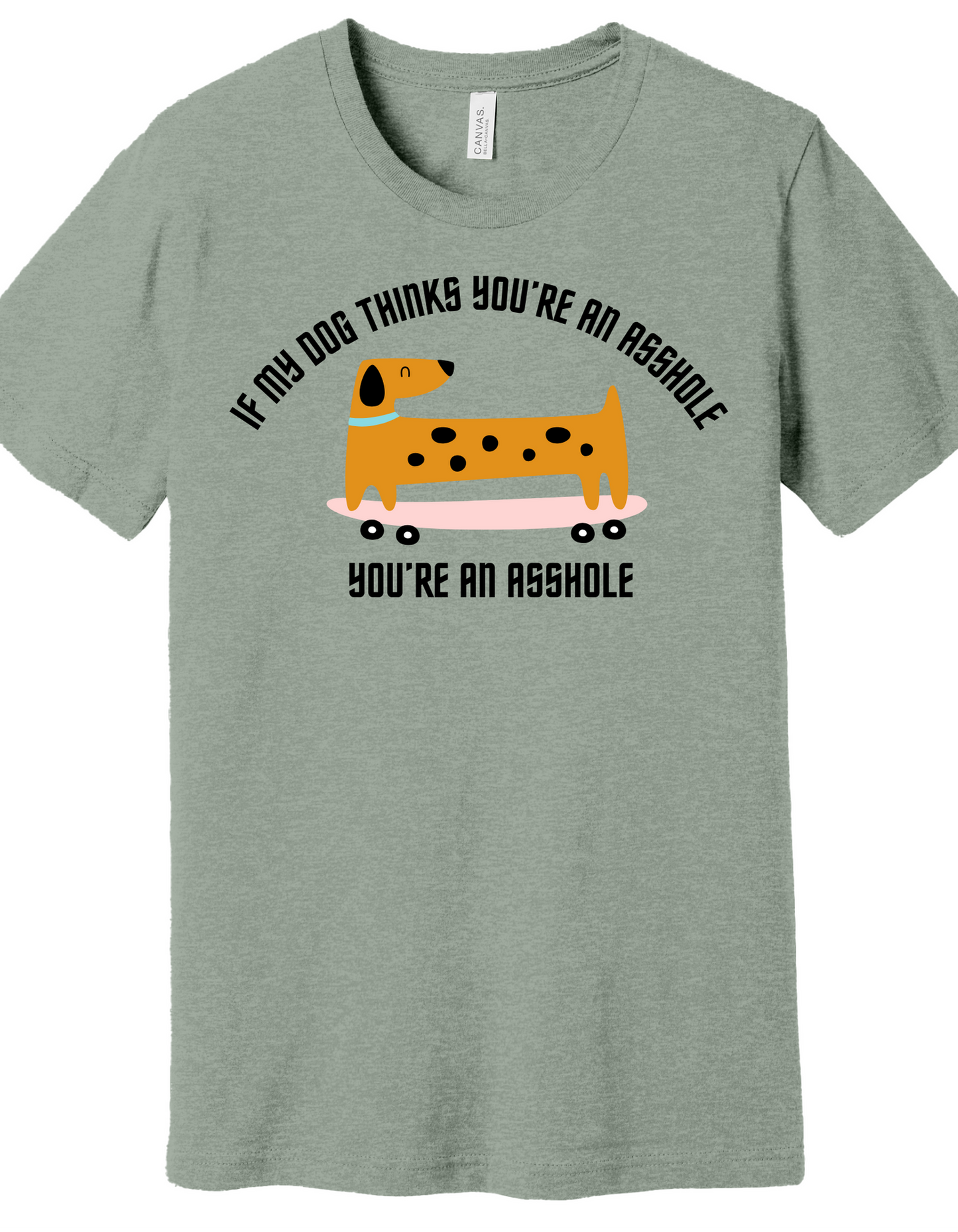 My Dog doesn't like you Shirt