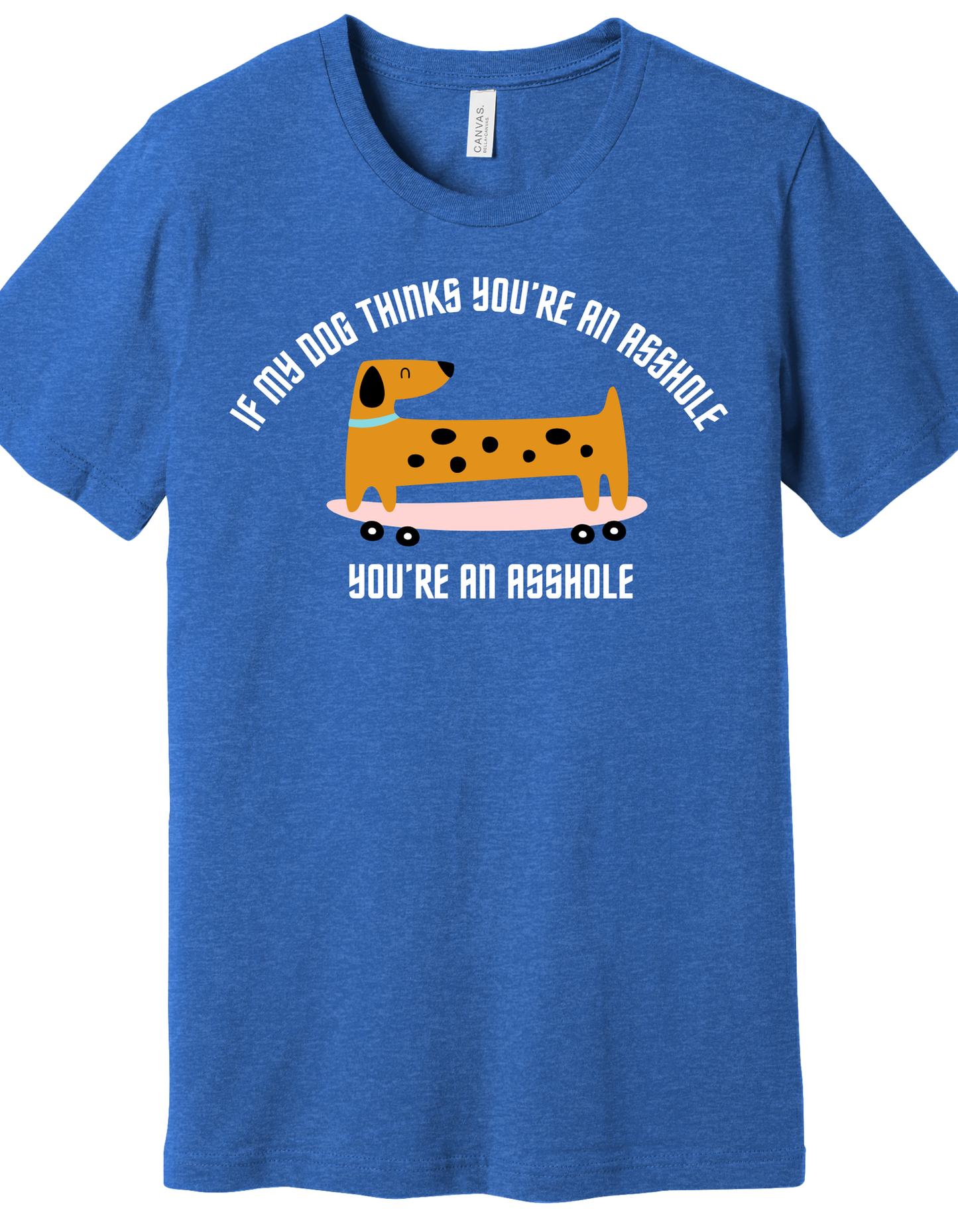 My Dog doesn't like you Shirt