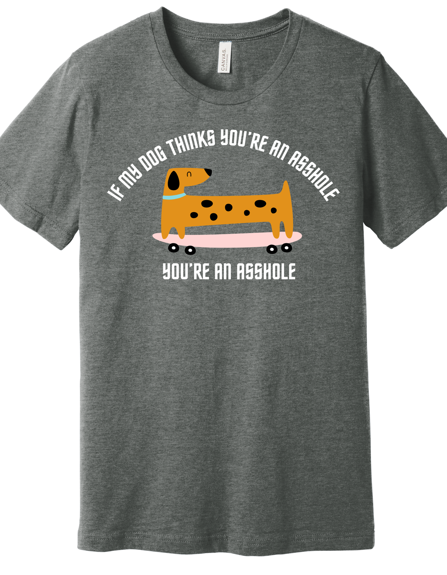 My Dog doesn't like you Shirt