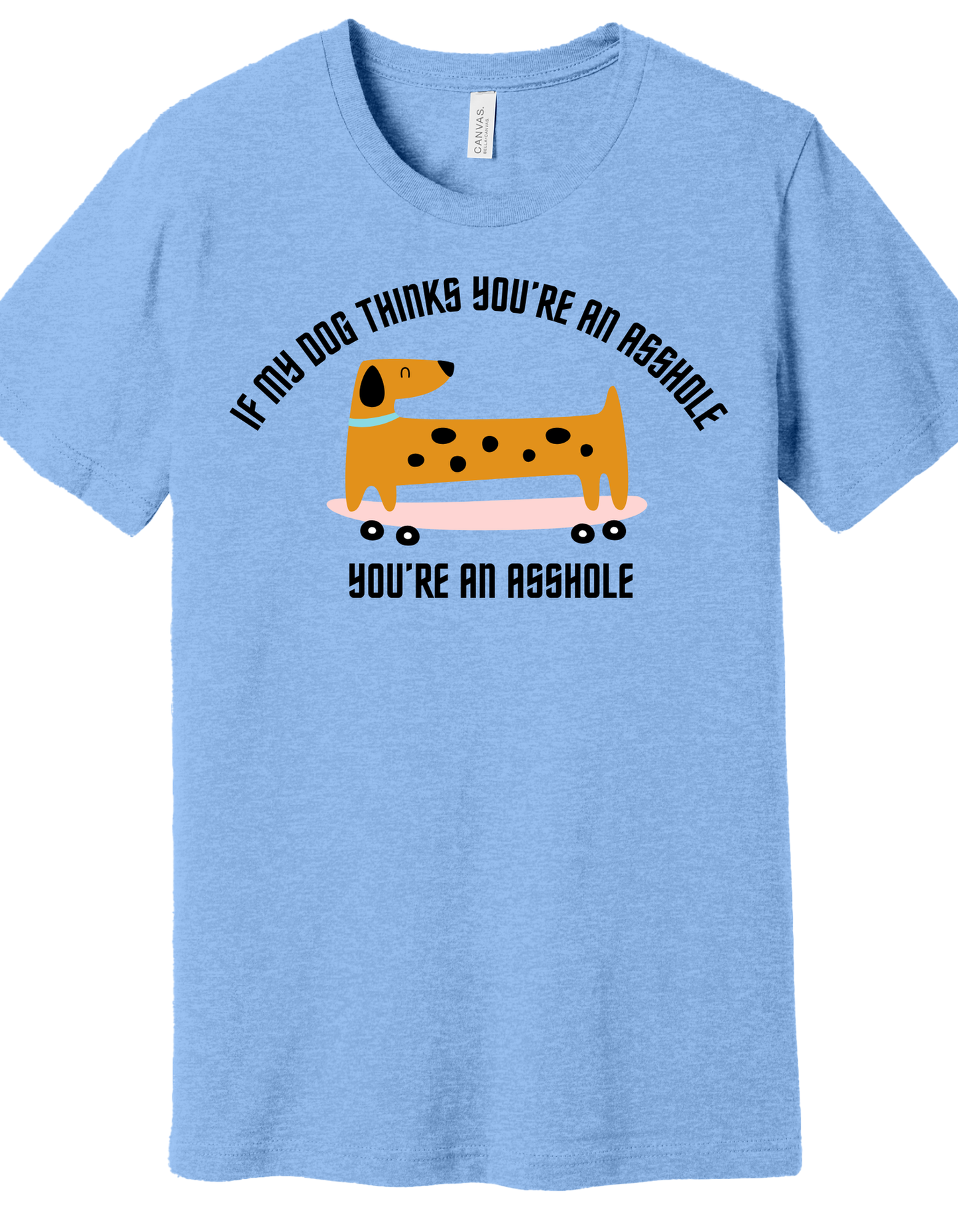 My Dog doesn't like you Shirt