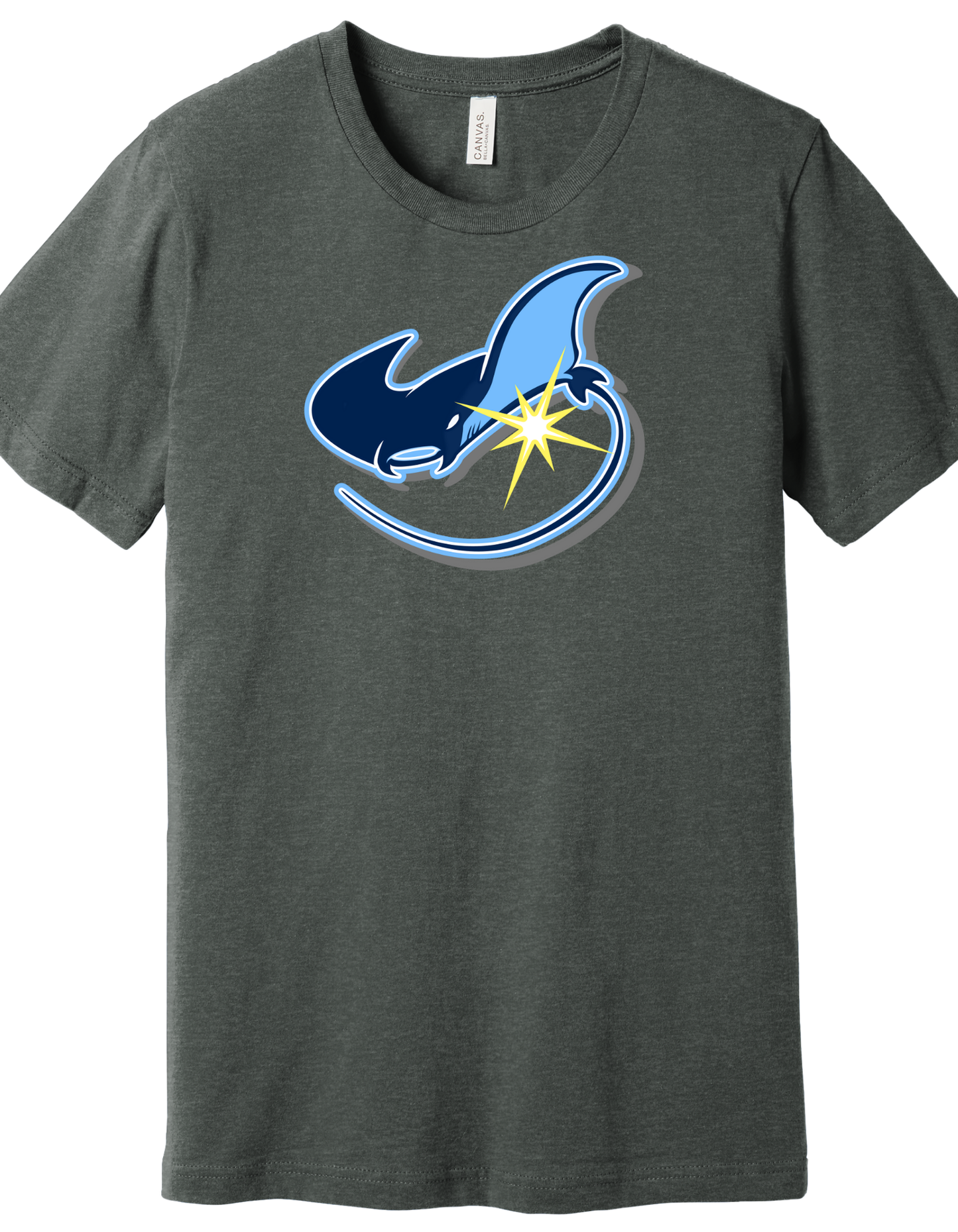 Rays swimming Shirt